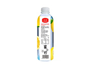 蜜小柠水蜜桃味果味饮料500ml（背面）