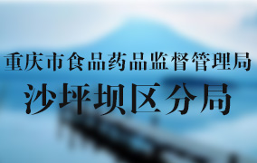 重庆市食品药品监督管理局沙坪坝区分局